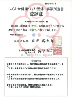 news_20241105