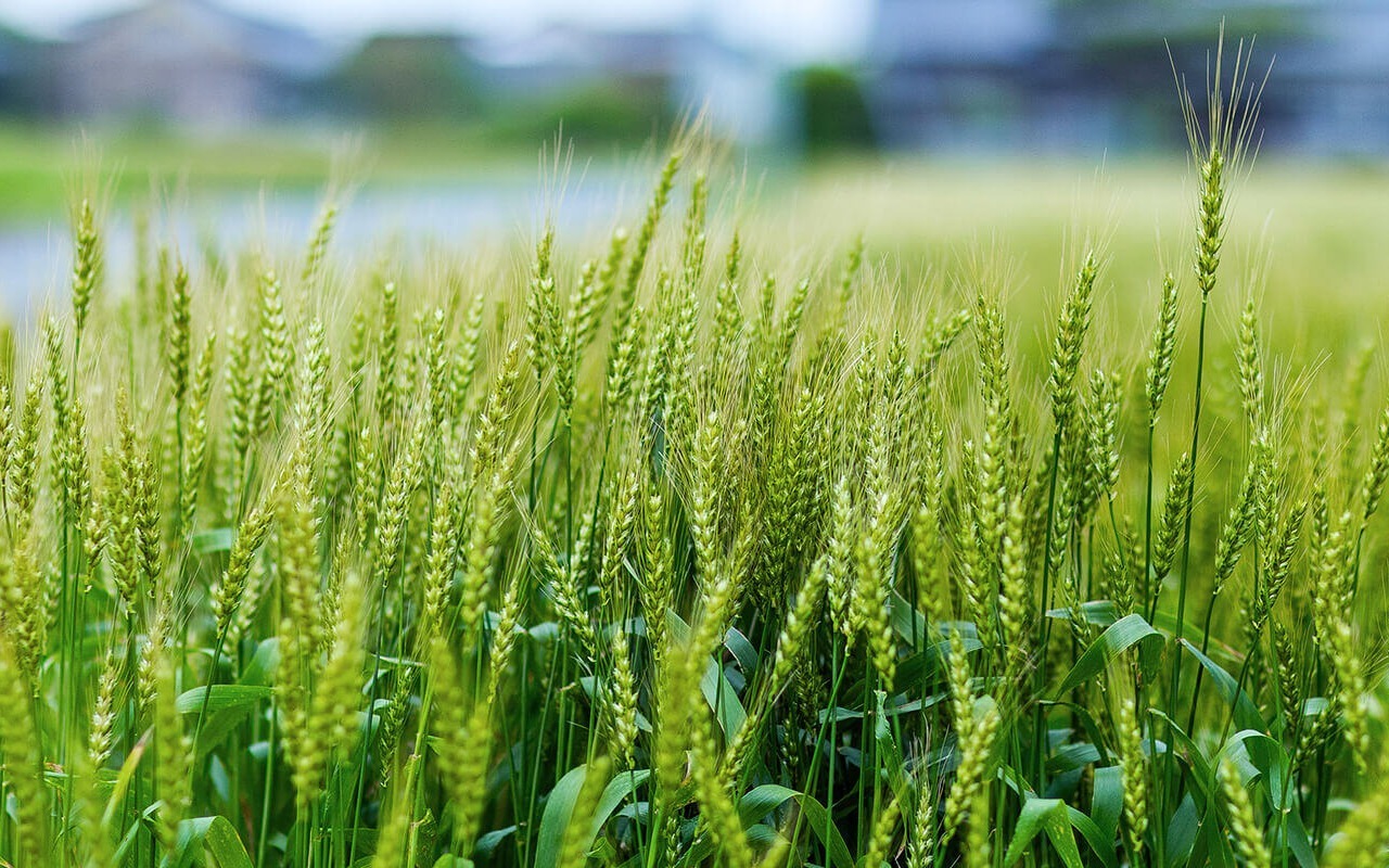 img_sustainability_03