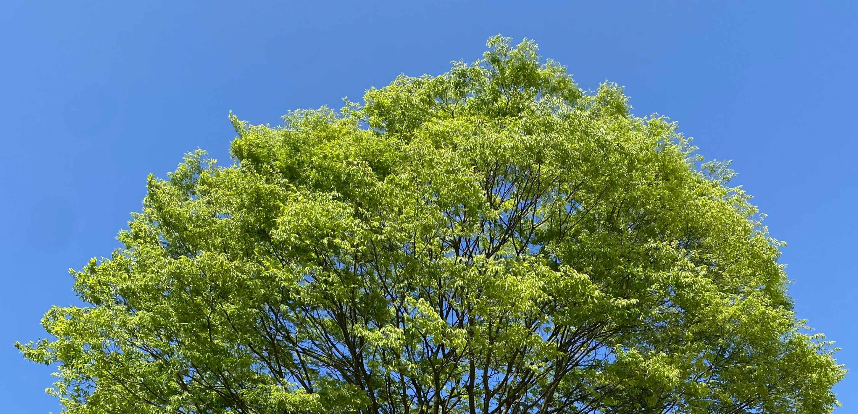 img_sustainability_kv